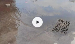 好多水视频,好多水视频深度解析